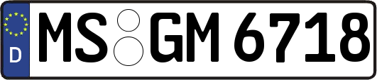 MS-GM6718