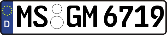 MS-GM6719