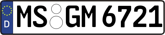 MS-GM6721