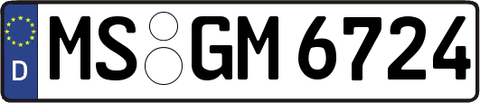MS-GM6724