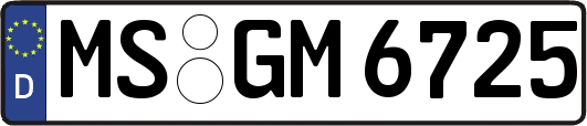 MS-GM6725