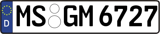 MS-GM6727