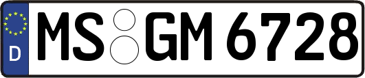 MS-GM6728