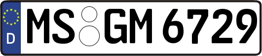 MS-GM6729