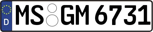 MS-GM6731