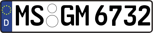 MS-GM6732