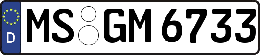 MS-GM6733