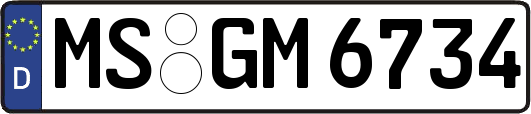 MS-GM6734