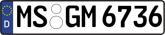 MS-GM6736