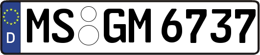 MS-GM6737