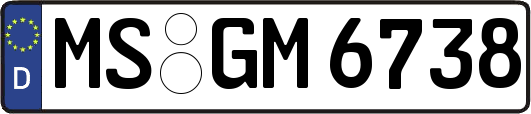 MS-GM6738