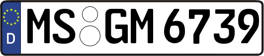 MS-GM6739