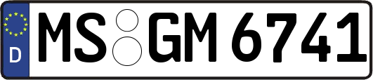 MS-GM6741