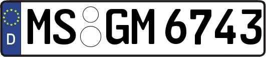 MS-GM6743