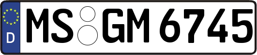 MS-GM6745