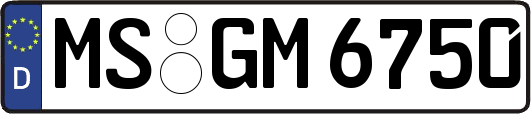 MS-GM6750
