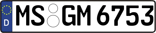 MS-GM6753