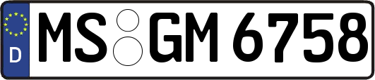 MS-GM6758