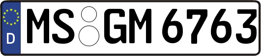 MS-GM6763