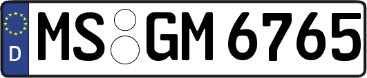 MS-GM6765