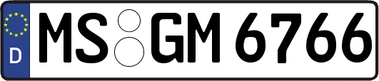 MS-GM6766