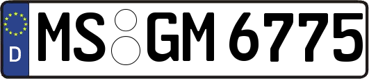 MS-GM6775