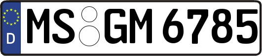 MS-GM6785