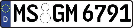 MS-GM6791