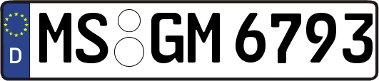 MS-GM6793