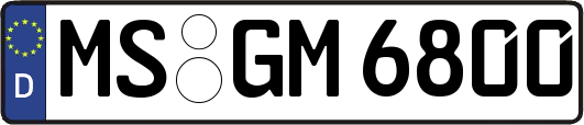MS-GM6800