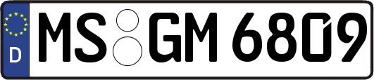 MS-GM6809