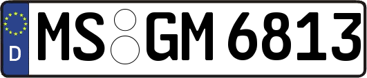 MS-GM6813