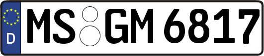 MS-GM6817
