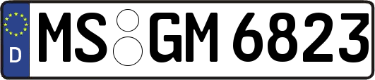 MS-GM6823