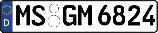 MS-GM6824