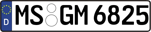 MS-GM6825