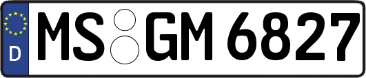 MS-GM6827