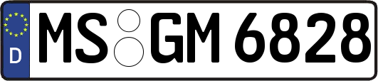 MS-GM6828