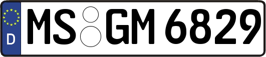 MS-GM6829