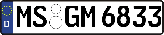 MS-GM6833