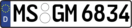 MS-GM6834