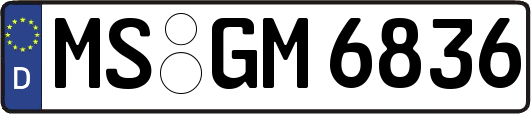 MS-GM6836
