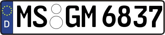 MS-GM6837