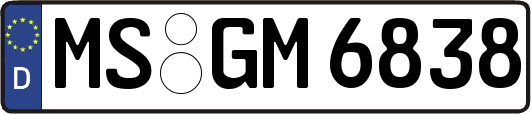 MS-GM6838