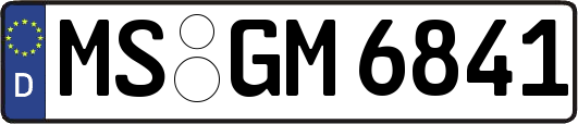 MS-GM6841