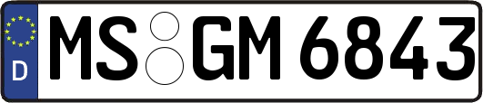 MS-GM6843