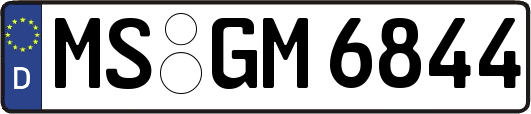 MS-GM6844