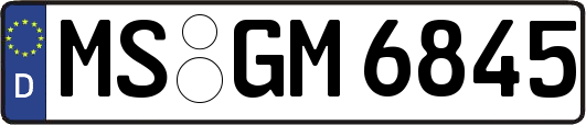 MS-GM6845