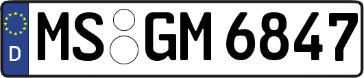 MS-GM6847