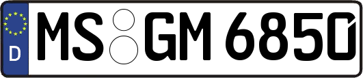MS-GM6850